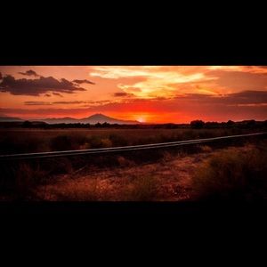 Meet your Posher, Shari